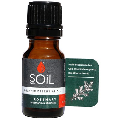 Soil Rosemary Essential Oil