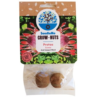 SeedleMe Grownuts - Eximia Protea