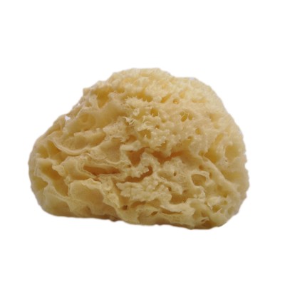 Woman-Kind Natural Honey Comb Bath Sponge