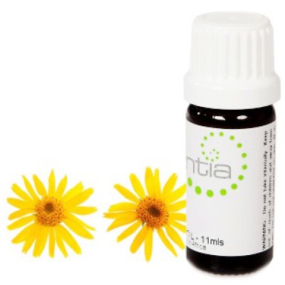 Escentia Arnica (Undiluted) 11ml