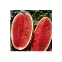 Livingseeds Watermelons