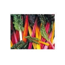 Livingseeds Spinach/Swiss Chard